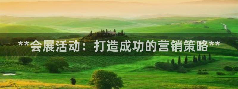果博公司会员注册账号开户：**会展活动：打造成功的营销策略**