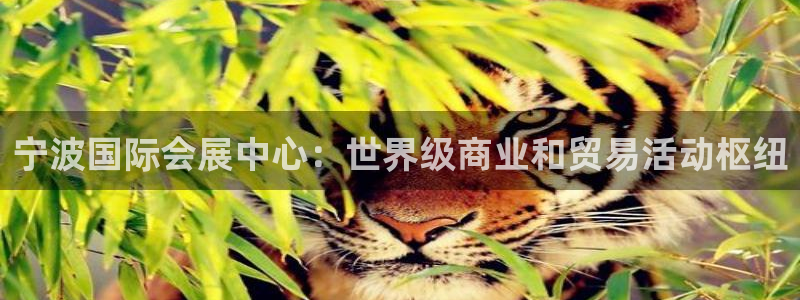 果博环保官网：宁波国际会展中心：世界级商业和贸易活动枢纽