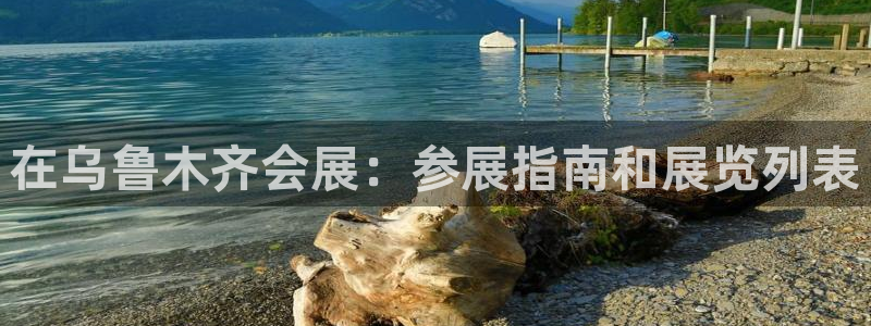 果博账号注册：在乌鲁木齐会展：参展指南和展览列表