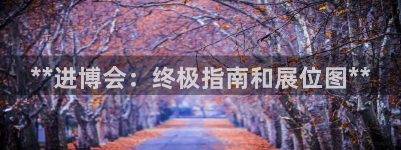 果博手机下载网址：**进博会：终极指南和展位图**