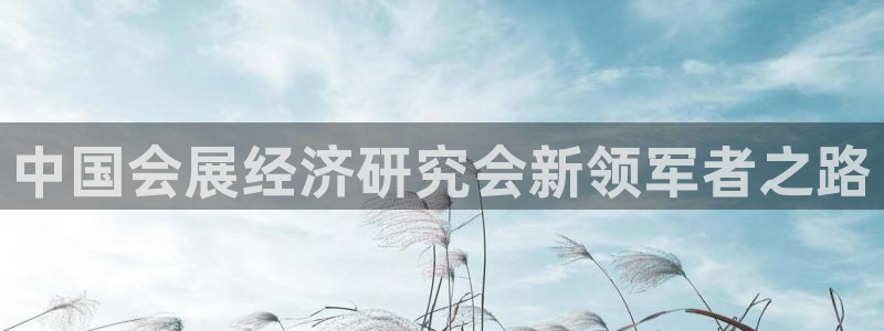 果博代理电话多少号码：中国会展经济研究会新领军者之路