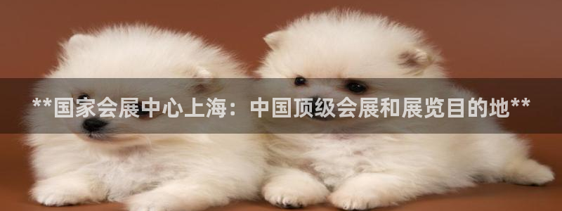 果博注册账号链接：**国家会展中心上海：中国顶级会展和展览目的地**