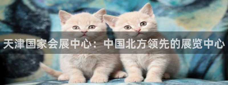 果博总台电话：天津国家会展中心：中国北方领先的展览中心