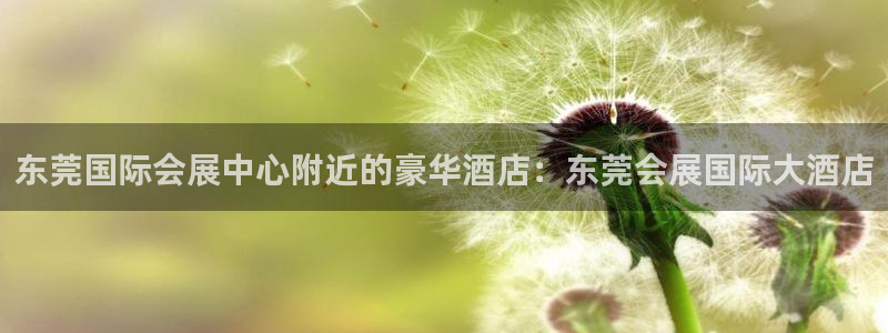 苹果电脑怎么下载博弈大师等软件：东莞国际