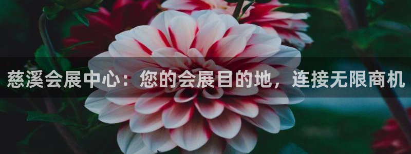 果博官网客服电话号码是多少：慈溪会展中心：您的会展目的地，连接无限商机