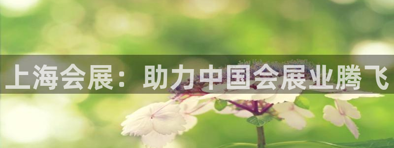 果博东手机版下载开户：上海会展：助力中国会展业腾飞