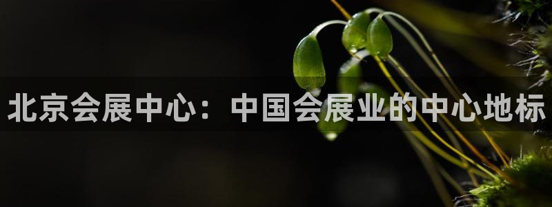果博gbe168：北京会展中心：中国会展业的中心地标