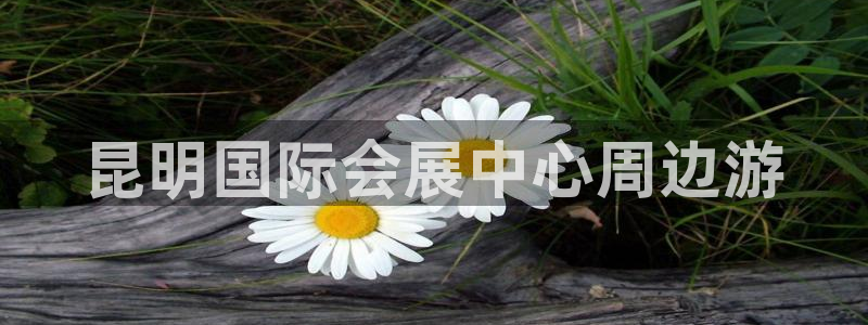 果博公司怎么开户：昆明国际会展中心周边游
