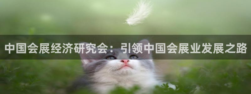 果博注册客服电话号码是多少：中国会展经济研究会：引领中国会展业发展之路