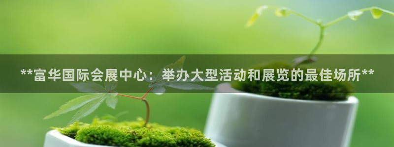 果博账号注册：**富华国际会展中心：举办大型活动和展览的最佳场所**