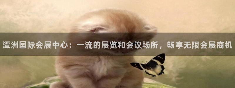 果博平台怎么下载?：潭洲国际会展中心：一流的展览和会议场所，畅享无限会展商机