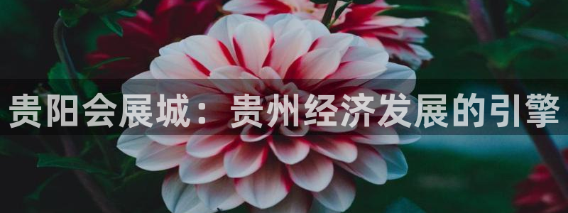 果博平台开户电话是多少：贵阳会展城：贵州经济发展的引擎