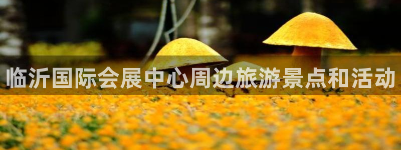 果博公司电话