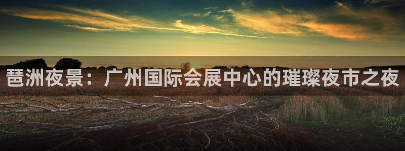 果博平台真实吗安全吗可信吗是真的吗：琶洲夜景：广州国际会展中心的璀璨夜市之夜