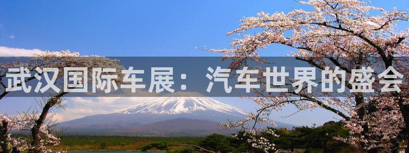 果博怎么注册账号和密码：武汉国际车展：汽车世界的盛会