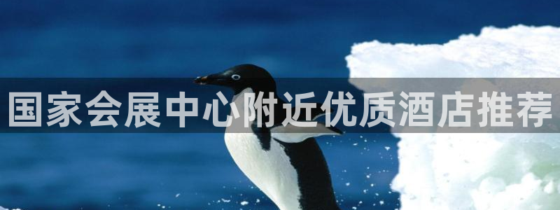 果博平台真实吗知乎：国家会展中心附近优质酒店推荐
