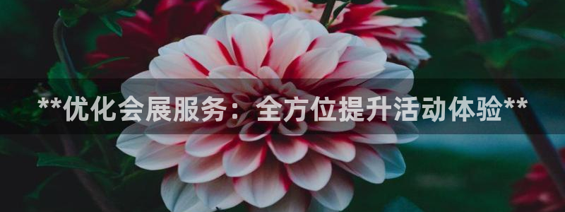 果博公司会员注册：**优化会展服务：全方位提升活动体验**
