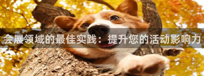 果博平台客服