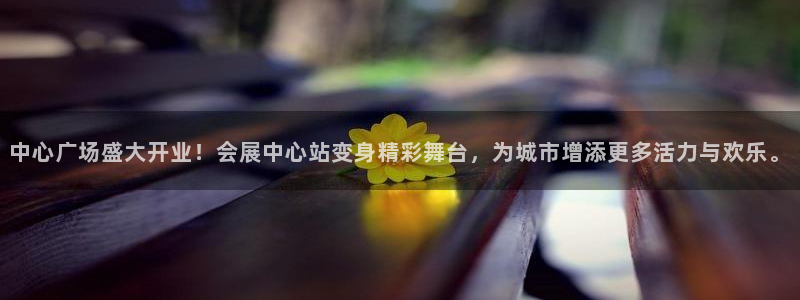 果博集团：中心广场盛大开业！会展中心站变身精彩舞台，为城市增添更多活力与欢乐。