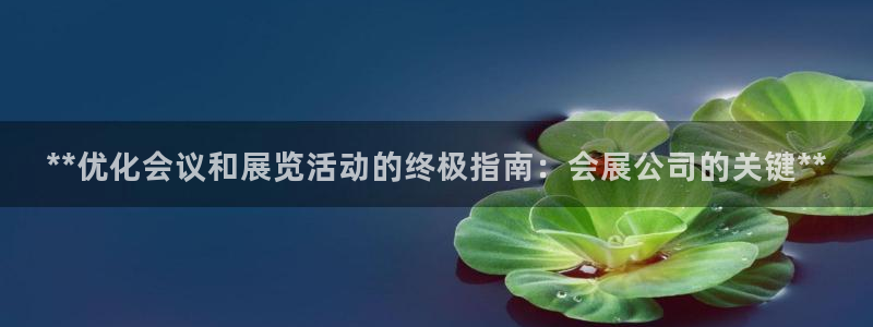 果搏代理：**优化会议和展览活动的终极指南：会展公司的关键**
