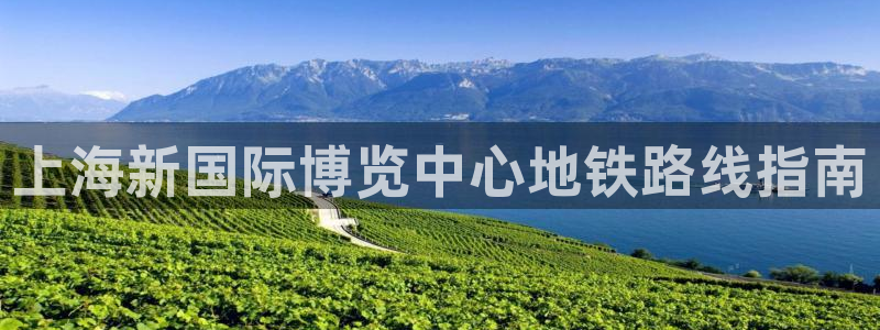 苹果手机能下载果博吗：上海新国际博览中心地铁路线指南
