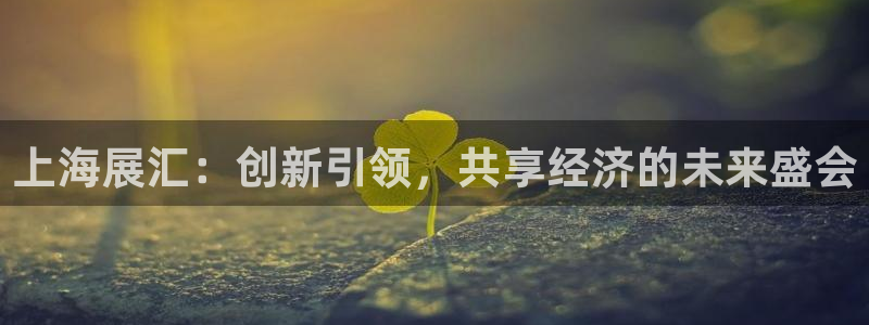 果博平台开户电话：上海展汇：创新引领，共