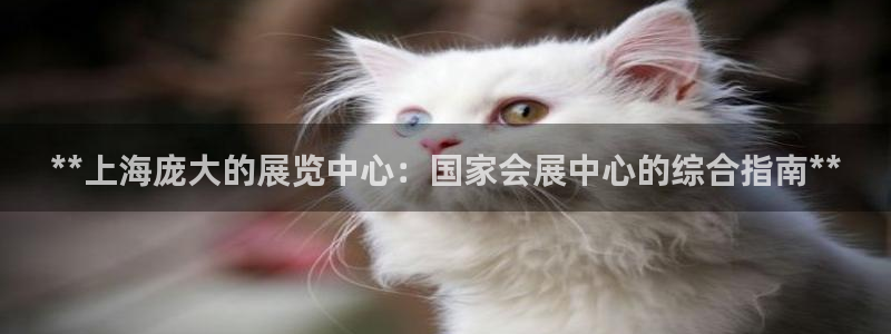 苹果电脑怎么下载伯索：**上海庞大的展览