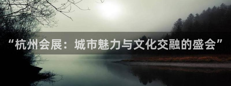 果博手机版下载：“杭州会展：城市魅力与文化交融的盛会”