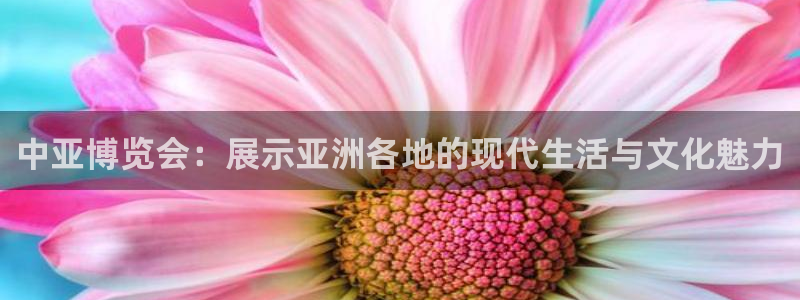 果博公司开户：中亚博览会：展示亚洲各地的现代生活与文化魅力