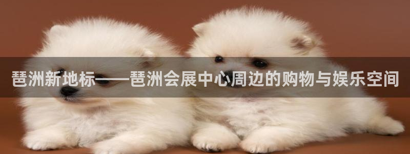果博平台怎么下载?：琶洲新地标——琶洲会展中心周边的购物与娱乐空间