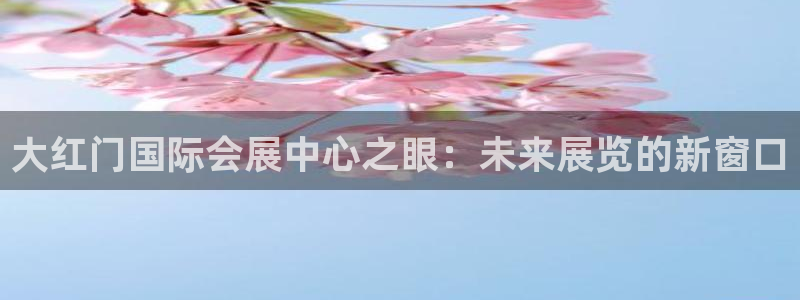 果博平台真实吗安全吗可靠吗：大红门国际会展中心之眼：未来展览的新窗口