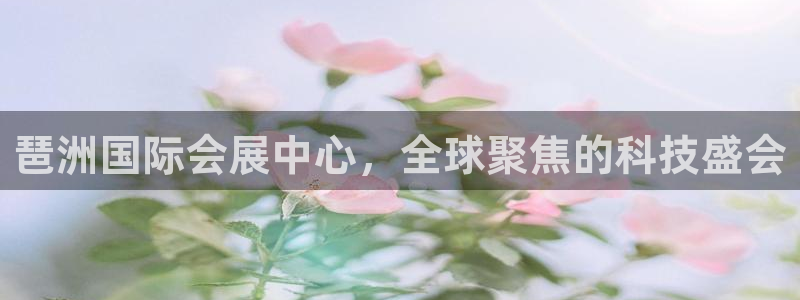 果博上分电话：琶洲国际会展中心，全球聚焦的科技盛会