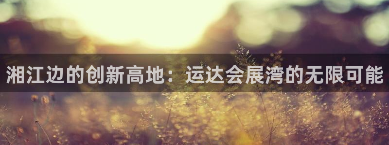 果博公司游戏网址：湘江边的创新高地：运达