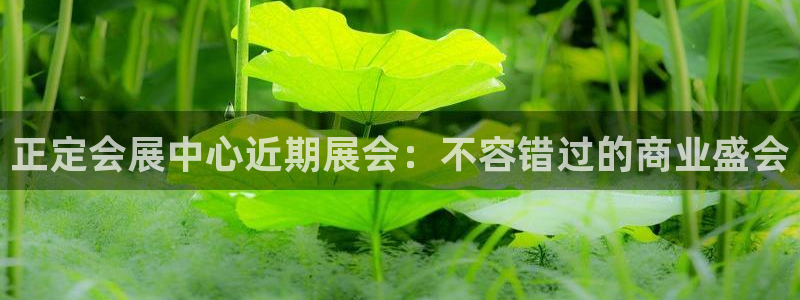 果博注册充值怎么充：正定会展中心近期展会