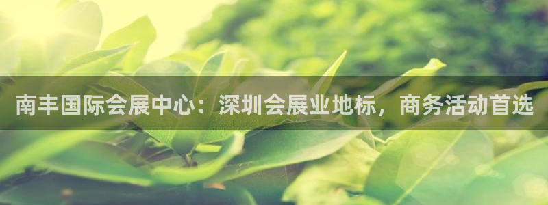 苹果电脑可以下载博易大师吗：南丰国际会展中心：深圳会展业地标，商务活动首选
