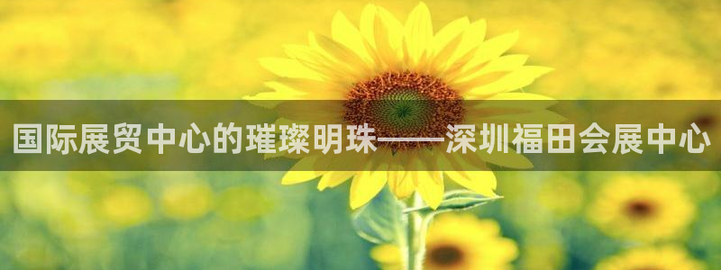 果博公司会员注册账号：国际展贸中心的璀璨