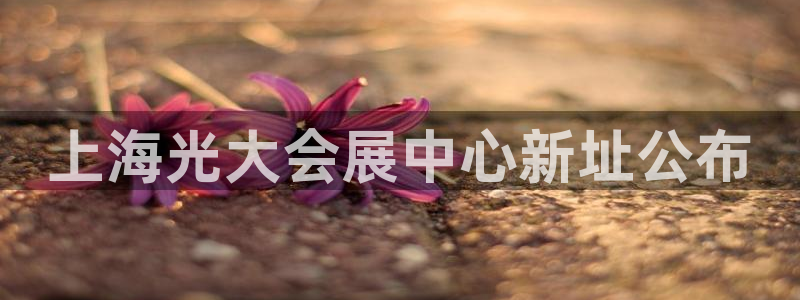 果博注册客服电话号码：上海光大会展中心新