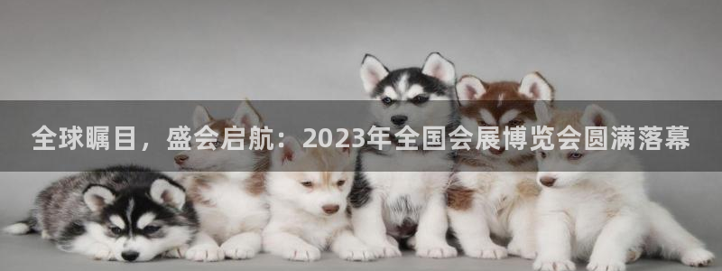 果博官网首页：全球瞩目，盛会启航：2023年全国会展博览会圆满落幕