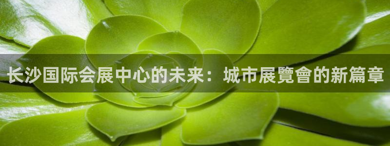 果博gbe168：长沙国际会展中心的未来
