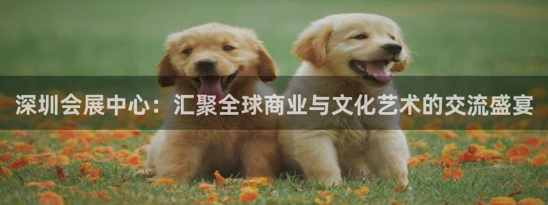 果博公司联系方式：深圳会展中心：汇聚全球商业与文化艺术的交流盛宴