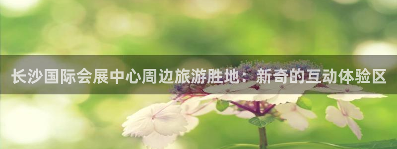 苹果电脑怎么下载伯索
