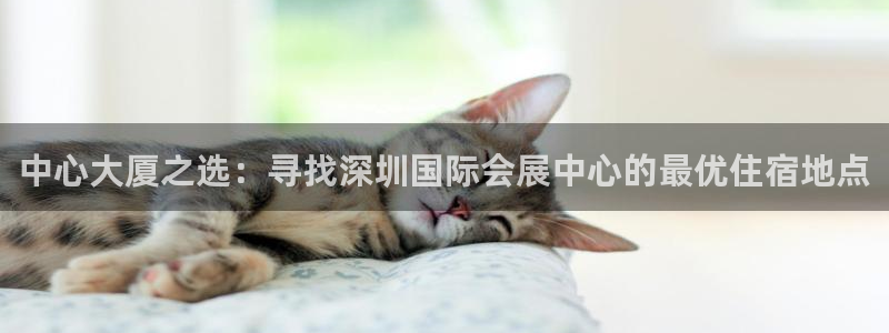 果博注册平台：中心大厦之选：寻找深圳国际会展中心的最优住宿地点