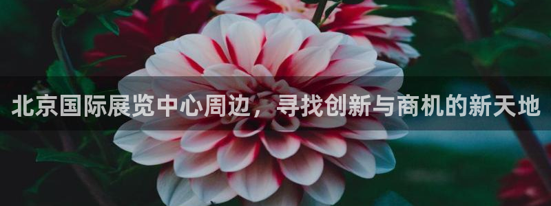 果博平台苹果电脑怎么下载：北京国际展览中心周边，寻找创新与商机的新天地