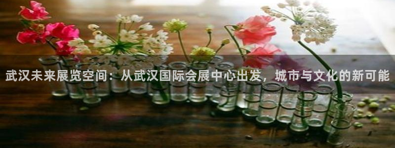 果博公司联系电话：武汉未来展览空间：从武汉国际会展中心出发，城市与文化的新可能