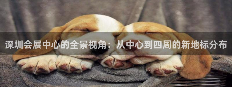 果博公司会员注册账号：深圳会展中心的全景视角：从中心到四周的新地标分布