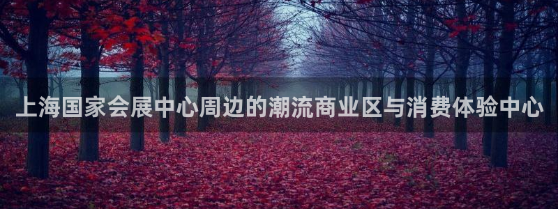 果博代理电话多少：上海国家会展中心周边的潮流商业区与消费体验中心