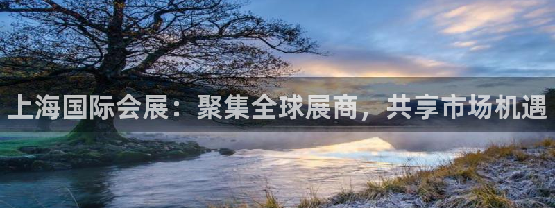 果博公司怎么注册会员：上海国际会展：聚集全球展商，共享市场机遇