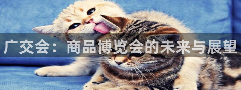 果博注册会员要钱吗