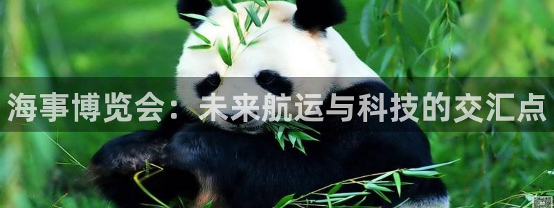 果博管理网