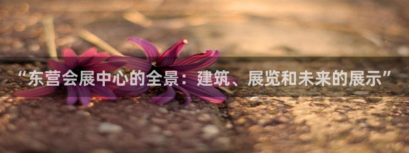 果博是怎么登录的：“东营会展中心的全景：